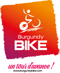 Burgundy Bike